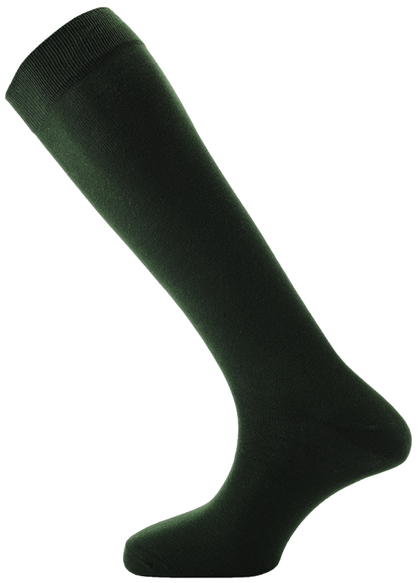 Horizon Men's Dress Socks Long Green